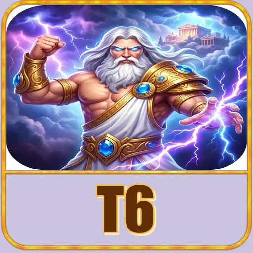 t6