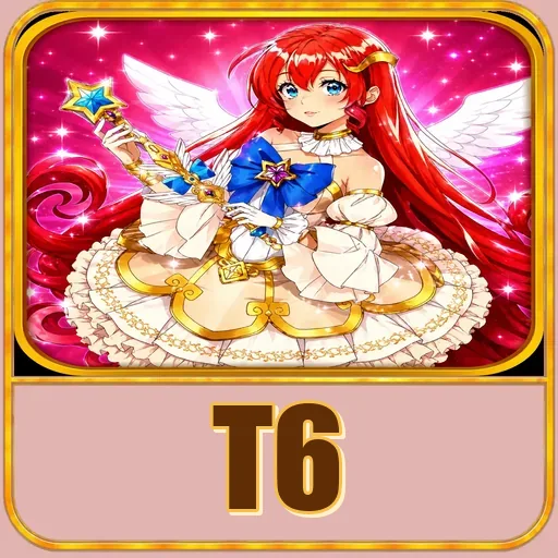 t6